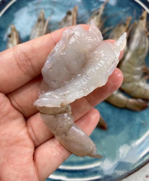 【2025新六批】蓝色大海的传说，被誉为“地球中心”虾界中的“白富美”【青岛大虾.厄瓜多尔白虾】 商品图0