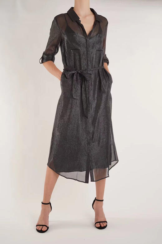 CG｜Long Shirt Dress [真丝长款衬衫裙] 商品图4