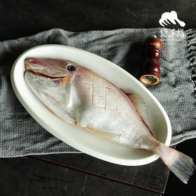 野生东山岛剥皮鱼 | 合作生产 * Wild Dongshan Island seafood | Coproduction