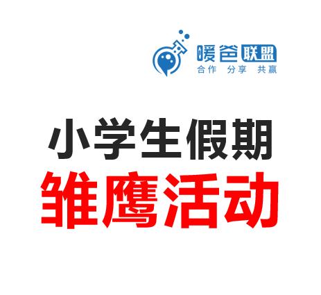 小学生假期雏鹰活动方案 商品图0