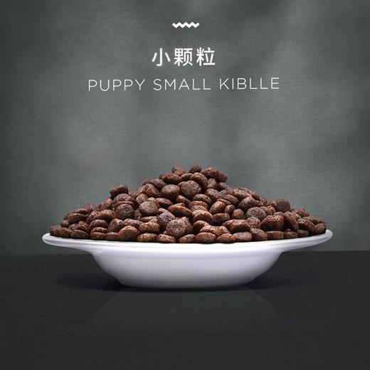 海洋之星狗粮三文鱼深海鱼无谷成犬粮小型大型犬金毛狗粮10kg通用型 商品图5