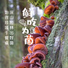 菌香传奇牌野生黑木耳90g/盒 商品缩略图1