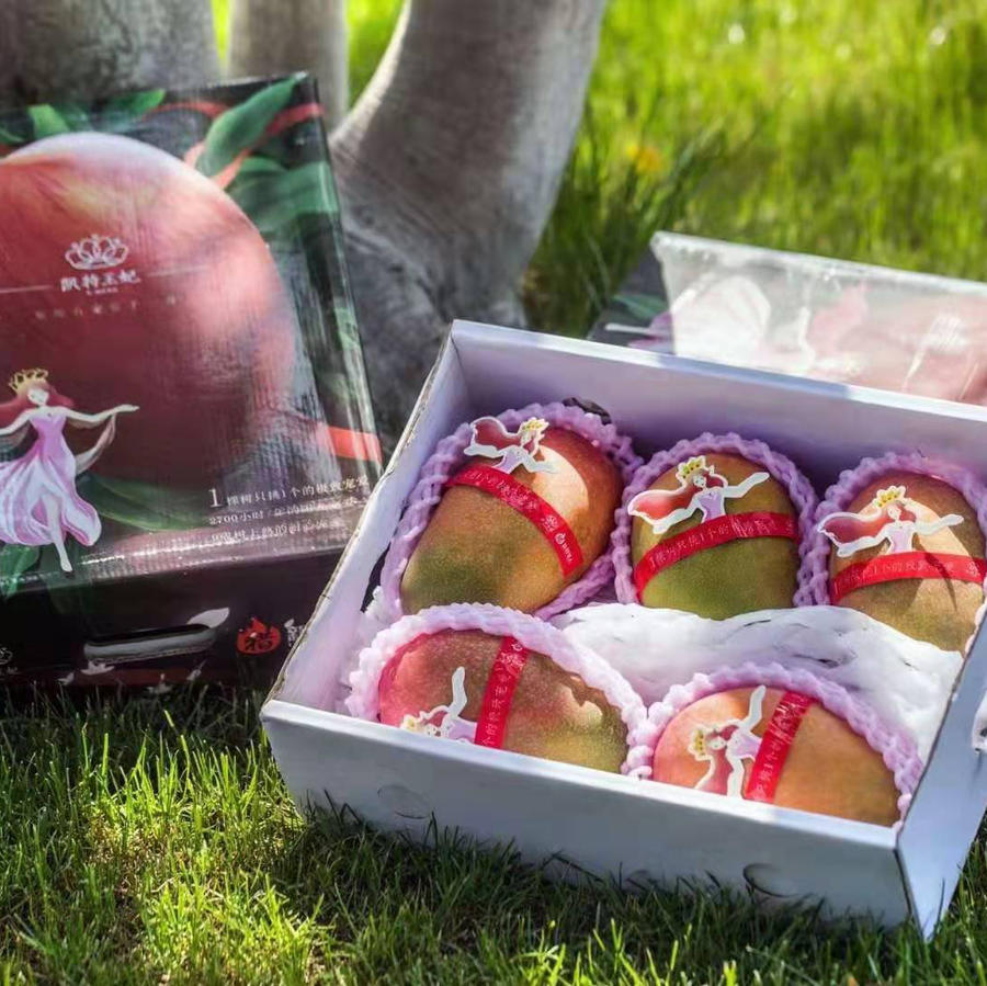 凯特王妃芒果5枚礼盒装