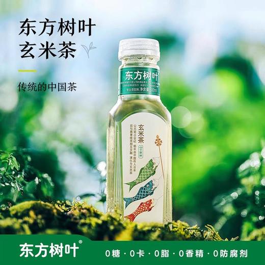 福州农夫山泉东方树叶无糖茶饮料500ml*15瓶装 首单送桦树汁面膜一片数量有限送完即止 商品图3
