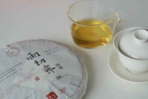 宽茶窄酒｜2021年 南美&坝糯 云南普洱生茶茶饼 商品图5