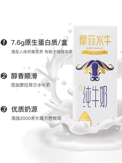【活动：拍2减5元！】会起奶皮的来思尔摩菲水牛奶 香浓好喝！像小时候的牛奶！来自大理海拔2000多米的天然牧场 不加糖不加水 【206g*10盒】 商品图9