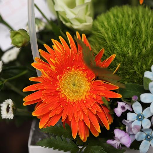 【教师节】手提篮 商品图1