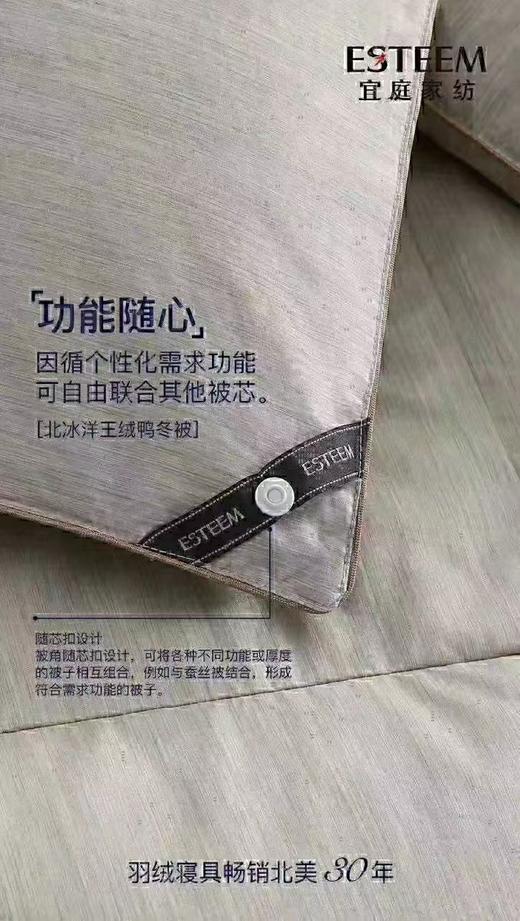 【6F】宜庭｜北冰洋王绒鸭春秋被240*240 商品图4