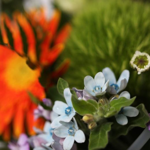 【教师节】手提篮 商品图3