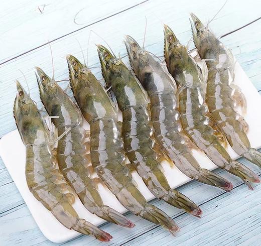 【2025新六批】蓝色大海的传说，被誉为“地球中心”虾界中的“白富美”【青岛大虾.厄瓜多尔白虾】 商品图6