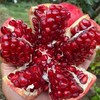 会理突尼斯软籽石榴   5-8斤装 商品缩略图0
