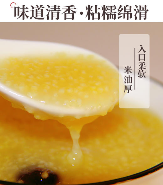 内蒙古特产毛毛谷小米 商品图5