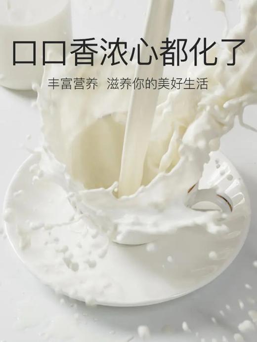【活动：拍2减5元！】会起奶皮的来思尔摩菲水牛奶 香浓好喝！像小时候的牛奶！来自大理海拔2000多米的天然牧场 不加糖不加水 【206g*10盒】 商品图4