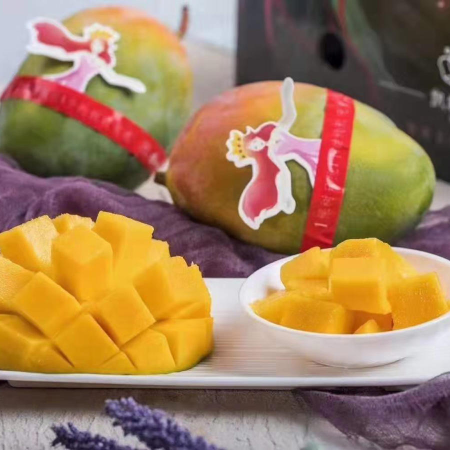 凯特王妃芒果5枚礼盒装