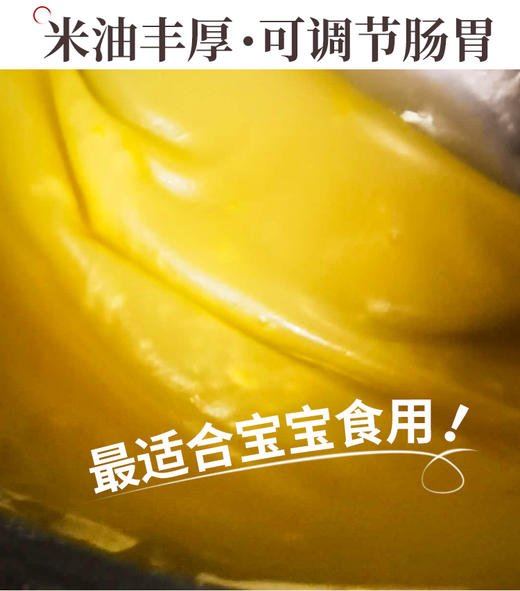 内蒙古特产毛毛谷小米 商品图4