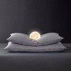 【6F】宜庭｜人体工学双核鹅绒枕 商品缩略图5