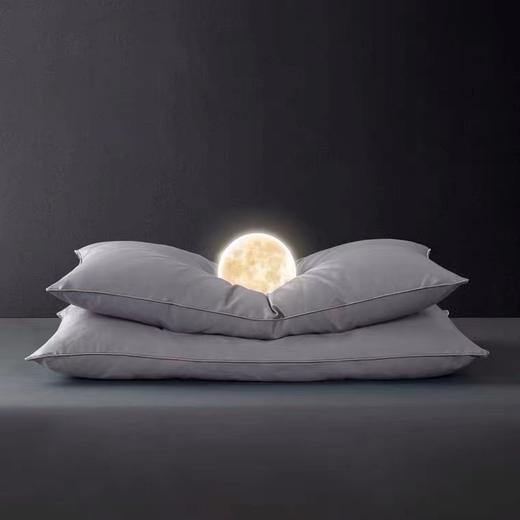 【6F】宜庭｜人体工学双核鹅绒枕 商品图5