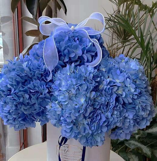 yfk绣球海蓝色a级