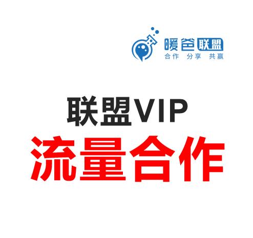 联盟VIP活动方案-流量合作方案 商品图0