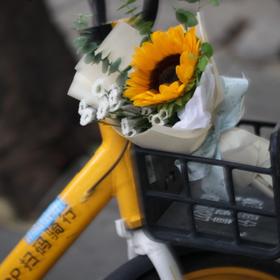 【教师节】向日葵🌻花束