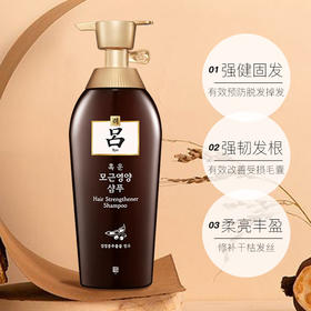 【中欧班列精选】XDR棕吕洗发水护发素400ml