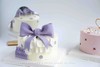 蝴蝶结（轻奢紫） 商品缩略图0