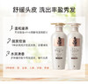 【中欧班列精选】XDR 韩国 Ryo 吕白吕控油去屑止痒护发素无硅油400ml 、吕白吕控油去屑止痒洗发水无硅油400ml（适合油性发质） 商品缩略图2