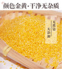 内蒙古特产毛毛谷小米 商品缩略图2