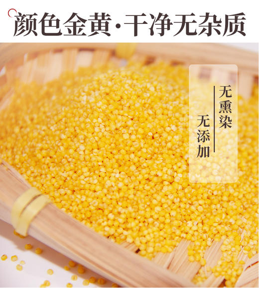 内蒙古特产毛毛谷小米 商品图2