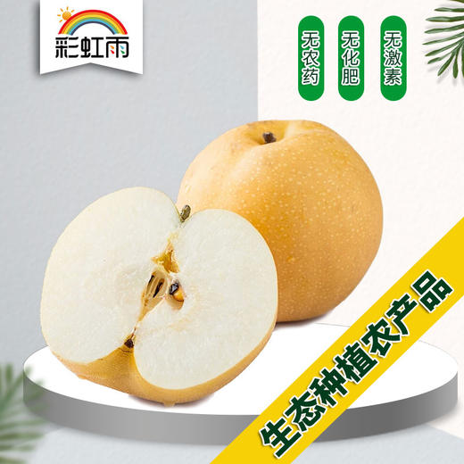 生态香水梨 酵素滴灌 丰水梨 脆甜多汁450g 商品图0