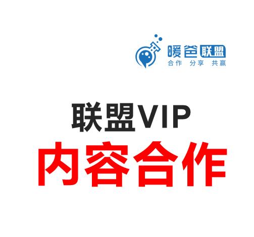 联盟VIP活动方案-内容合作方案 商品图0