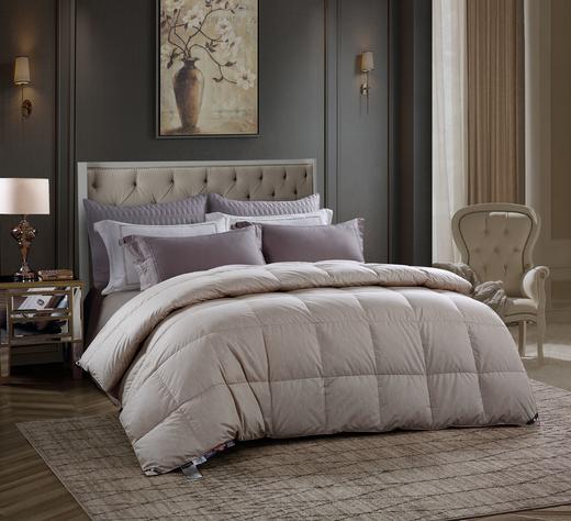 【6F】宜庭｜北冰洋王绒鸭春秋被240*240 商品图0