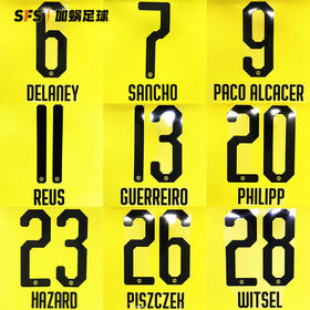 SFS 19-20赛季德甲多特蒙德联赛印号 多球员选项（非球衣链接）