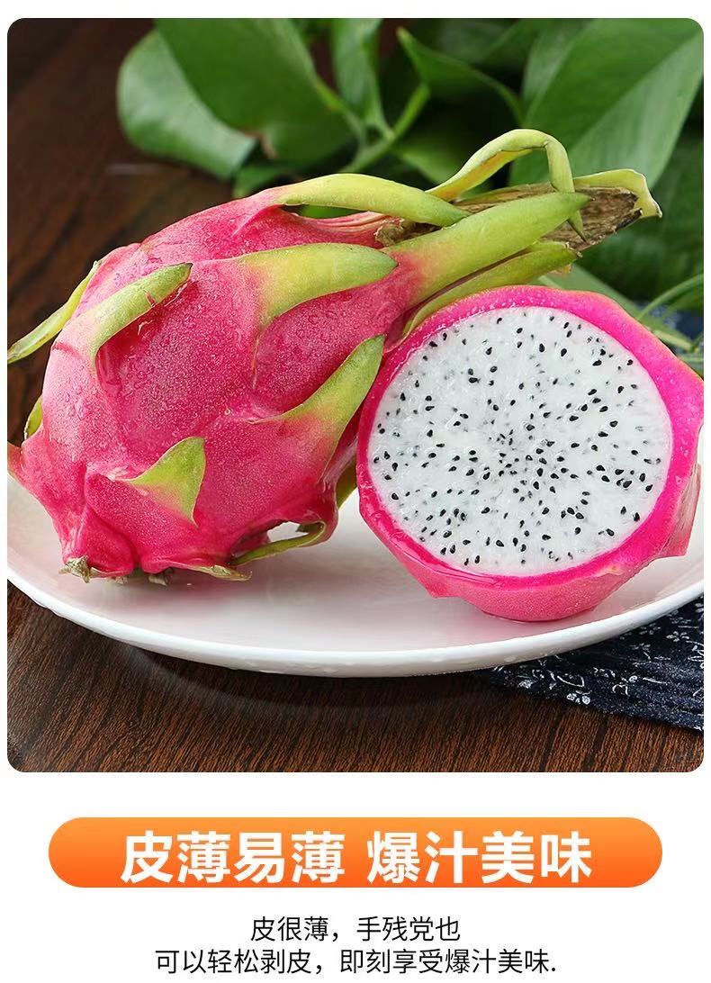 越南白心火龙果礼盒装 2.5kg