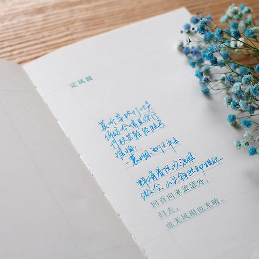 【顺丰包邮】 《东坡乐府·雅集》木制礼盒装 |  精美装帧 传世字画（南周） 商品图4