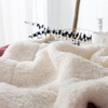 裸睡柔滑 羊羔绒双层毛毯 手感柔软 亲肤贴切 绒面丰盈 精选好料 匠心制作 商品缩略图5