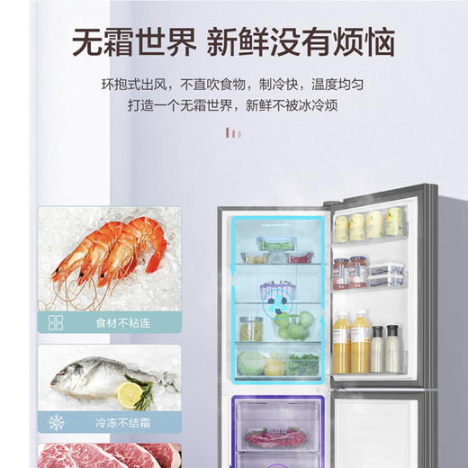 海尔（Haier）冰箱BCD-220WMGR 商品图3