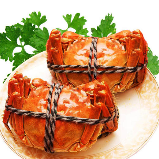 蟹园阳澄湖大闸蟹礼券1988型（公蟹4.5两4只，母蟹3.5两4只） 商品图3