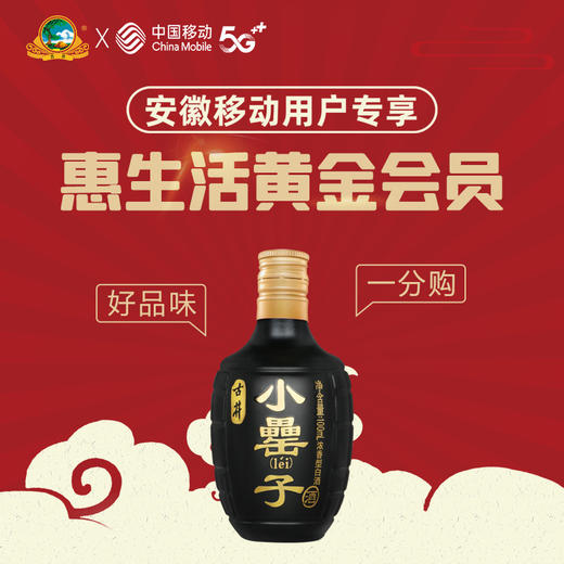 【古井小罍子酒1分购专用券通道】古井小罍子42度100ml*1瓶光瓶 商品图0