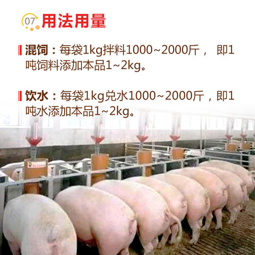 【快肥】巨龙动保快肥催肥促生长复合氨基酸维生素1kg 商品图3