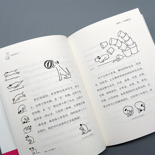 小狗达西卡 令温斯顿•丘吉尔爱不释手的世界经典；捷克文学大师恰佩克家喻户晓的温情之作 商品图5