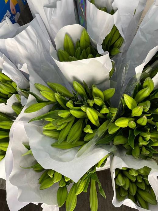 【百年好合】铁炮百合 白色 2头 5枝 商品图9