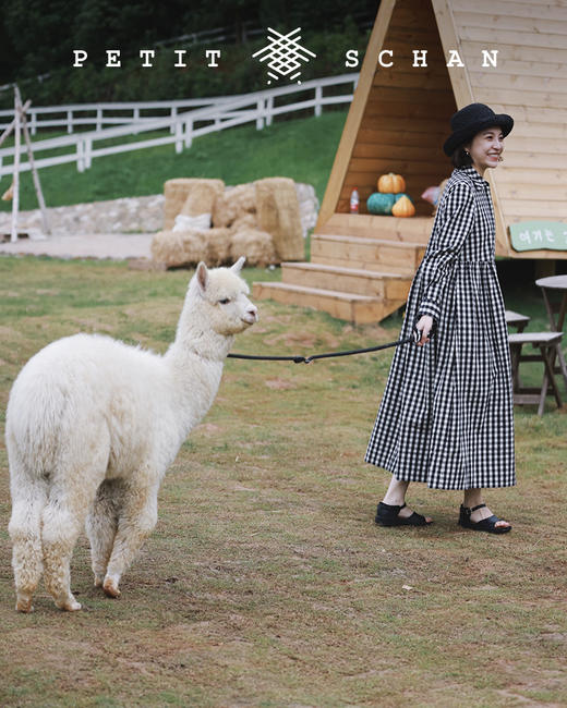 PETIT SCHAN小闪 CLO#048 Young Face 致青春 日本进口双面磨毛棉麻混纺法式翻领秋冬款连衣裙 商品图5