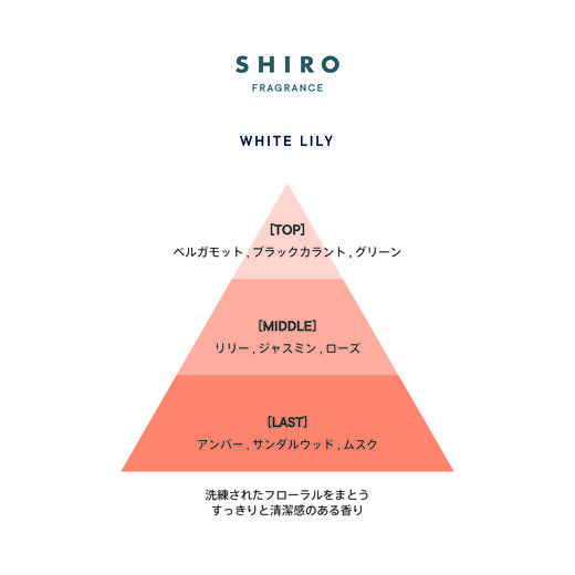 日本本土 · SHIRO经典身体乳195g 质地水润不黏腻 留香持久｜日本拼邮 商品图3