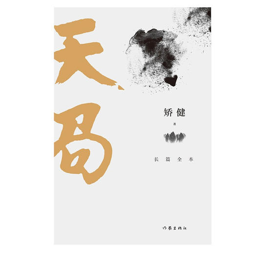 天局 长篇全本 矫健 著 中国文学小说 电视剧《人民的名义》神秘之书 剧情重要线索 新媒体平台话题 商品图2