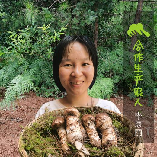 生态分心木 | 合作生产 * Ecological Diaphragma Juglandis | Coproduction 商品图1