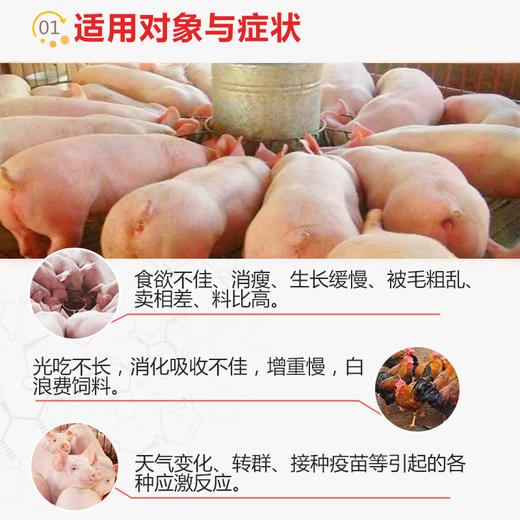 【快肥】巨龙动保快肥催肥促生长复合氨基酸维生素1kg 商品图2