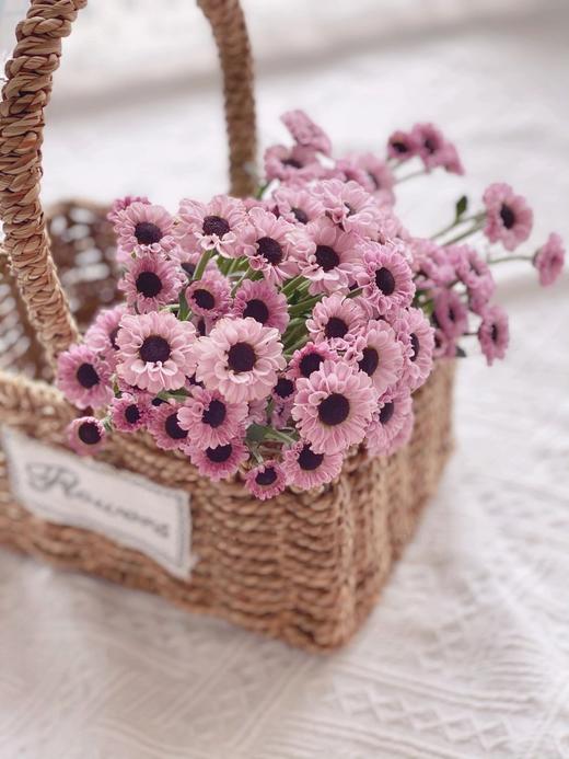 小雏菊合辑【沿着星河轨道，踏遍人间春秋】简小姐精选小雏菊 2件包邮 下单5天发货 商品图4