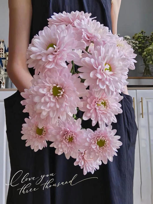 小雏菊合辑【沿着星河轨道，踏遍人间春秋】简小姐精选小雏菊 2件包邮 下单5天发货 商品图9