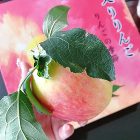 日本蜜苹果